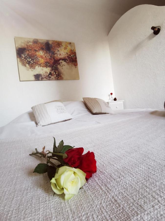 Mas La Belle Ambroise - Chambres D'Hotes Et Gite Saint-Ambroix Eksteriør bilde
